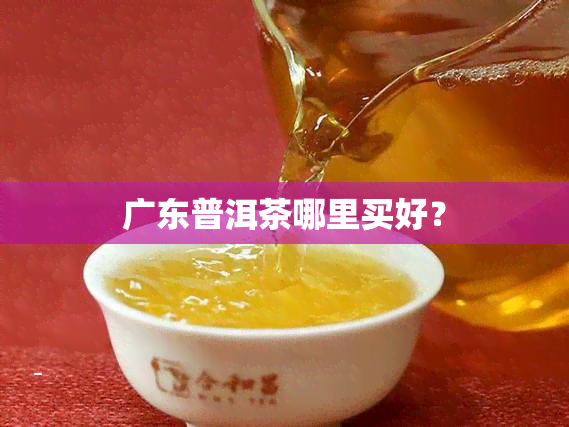 广东普洱茶哪里买好？