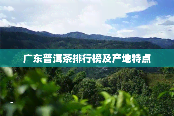 广东普洱茶排行榜及产地特点