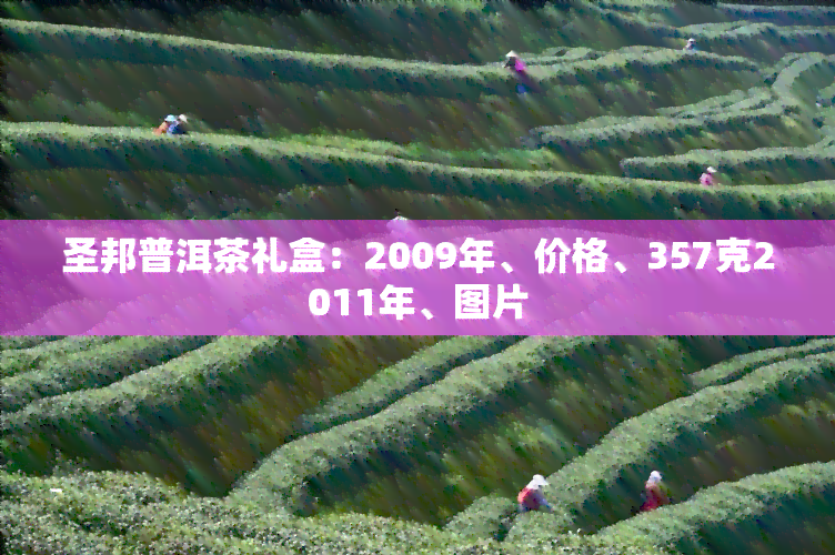 圣邦普洱茶礼盒：2009年、价格、357克2011年、图片