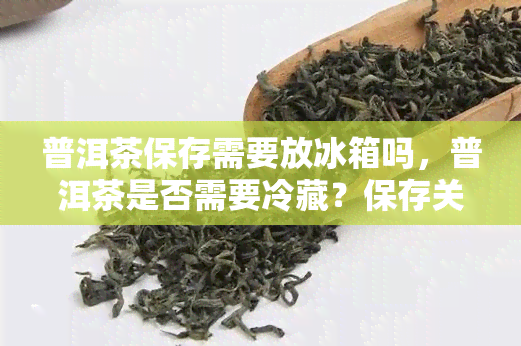 普洱茶保存需要放冰箱吗，普洱茶是否需要冷藏？保存关键需知揭秘！