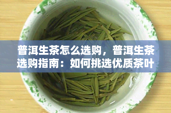 普洱生茶怎么选购，普洱生茶选购指南：如何挑选优质茶叶？