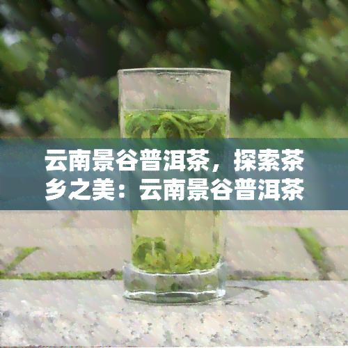 云南景谷普洱茶，探索茶乡之美：云南景谷普洱茶的魅力