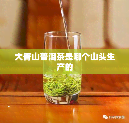 大箐山普洱茶是哪个山头生产的