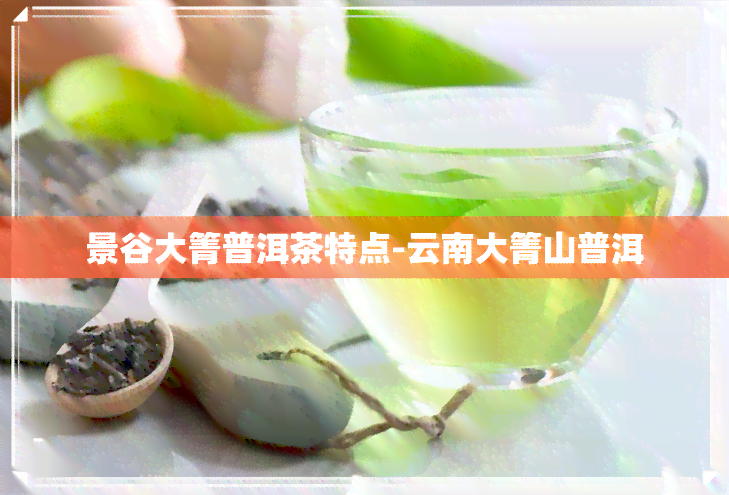 景谷大箐普洱茶特点-云南大箐山普洱