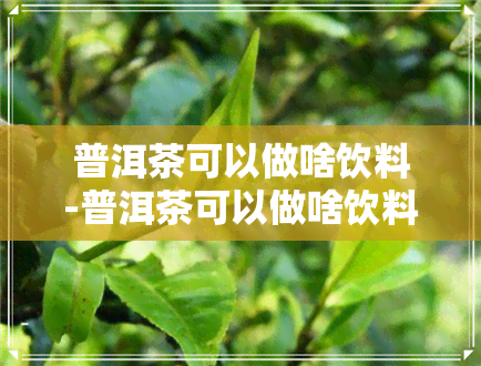 普洱茶可以做啥饮料-普洱茶可以做啥饮料喝