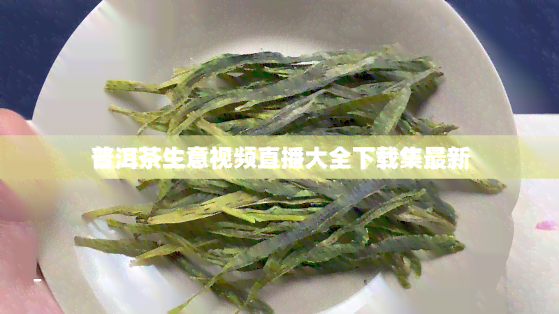 普洱茶生意视频直播大全下载集最新