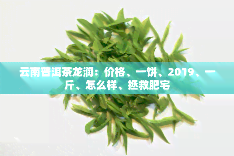 云南普洱茶龙润：价格、一饼、2019、一斤、怎么样、拯救肥宅