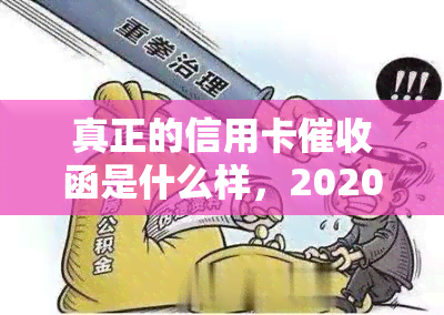 真正的信用卡函是什么样，2020年信用卡规定