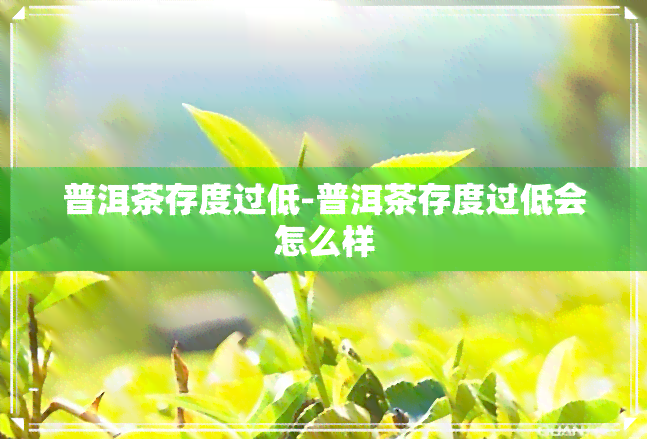 普洱茶存度过低-普洱茶存度过低会怎么样