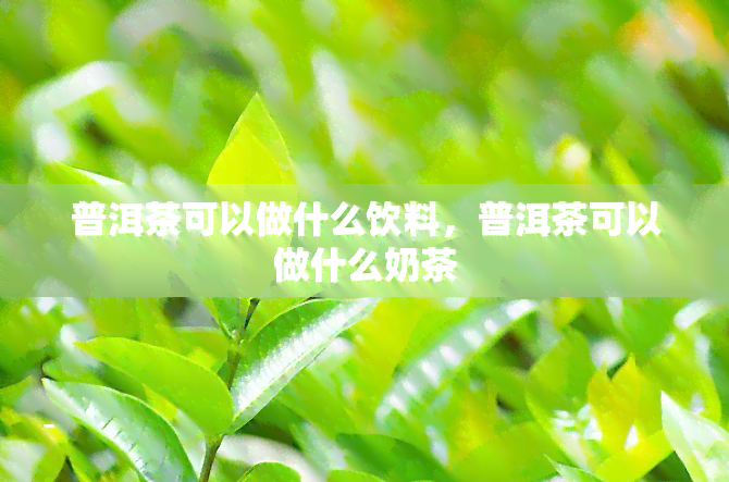 普洱茶可以做什么饮料，普洱茶可以做什么奶茶