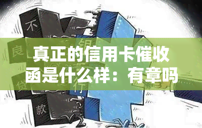 真正的信用卡函是什么样：有章吗？