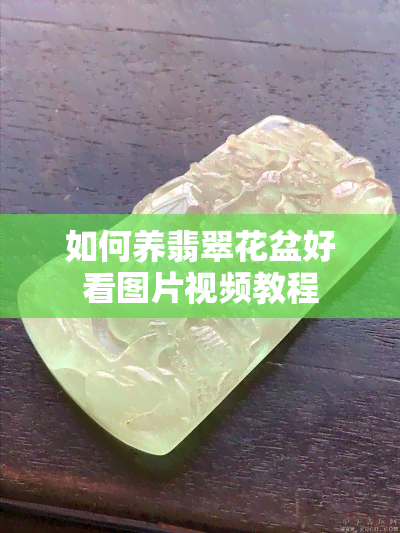 如何养翡翠花盆好看图片视频教程