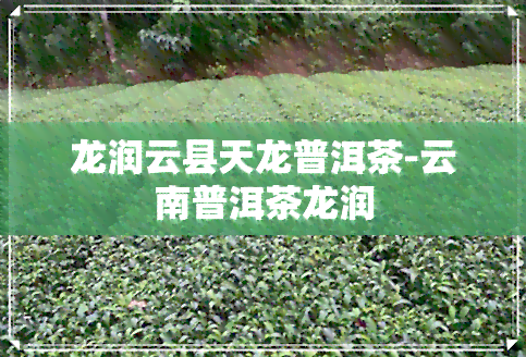 龙润云县天龙普洱茶-云南普洱茶龙润