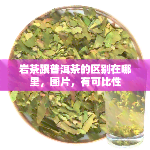 岩茶跟普洱茶的区别在哪里，图片，有可比性