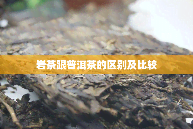 岩茶跟普洱茶的区别及比较