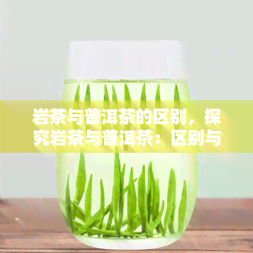 岩茶与普洱茶的区别，探究岩茶与普洱茶：区别与特点一览