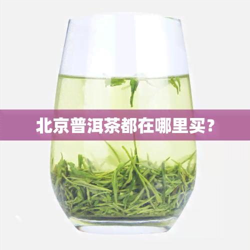 北京普洱茶都在哪里买？