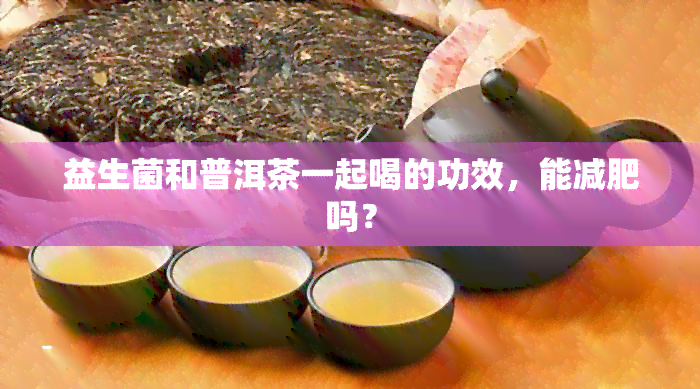 益生菌和普洱茶一起喝的功效，能减肥吗？