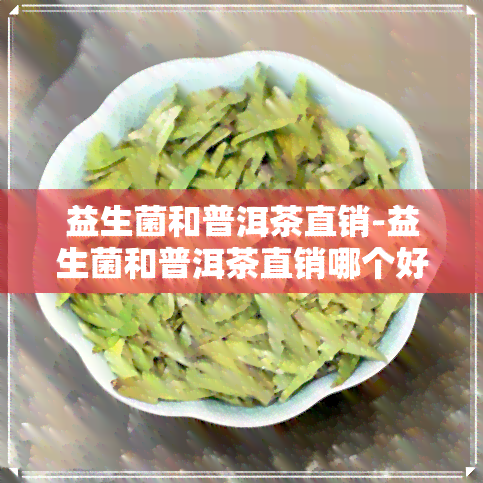 益生菌和普洱茶直销-益生菌和普洱茶直销哪个好