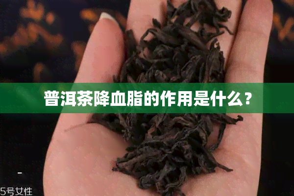 普洱茶降血脂的作用是什么？