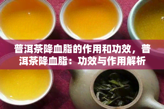 普洱茶降血脂的作用和功效，普洱茶降血脂：功效与作用解析