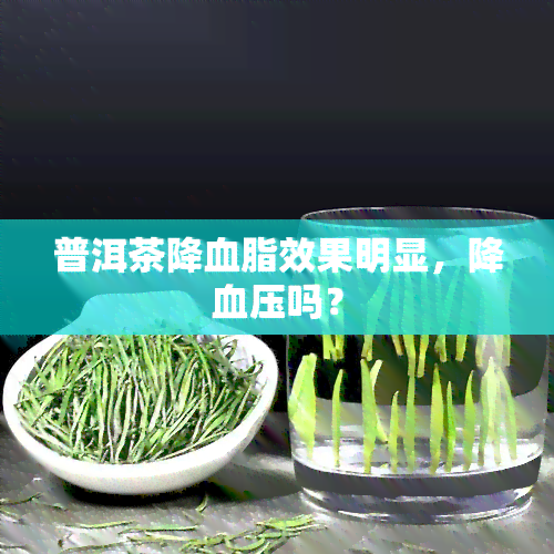 普洱茶降血脂效果明显，降血压吗？