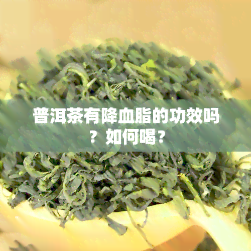 普洱茶有降血脂的功效吗？如何喝？