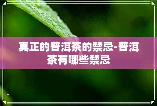 真正的普洱茶的禁忌-普洱茶有哪些禁忌