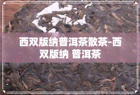 西双版纳普洱茶散茶-西双版纳 普洱茶