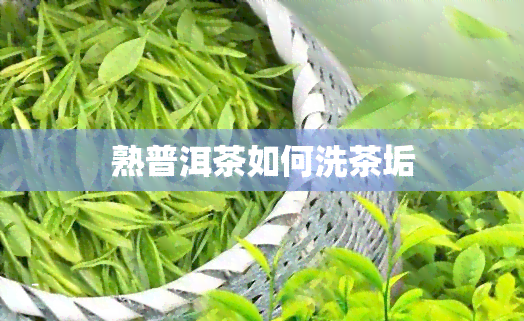 熟普洱茶如何洗茶垢