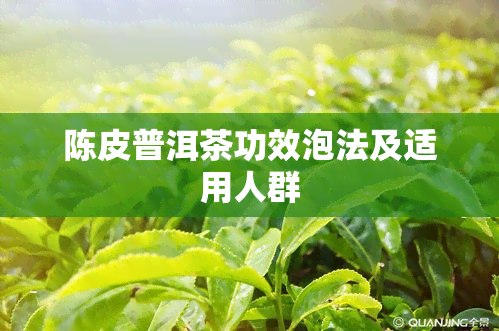 陈皮普洱茶功效泡法及适用人群