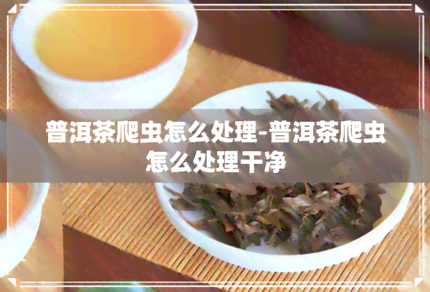 普洱茶爬虫怎么处理-普洱茶爬虫怎么处理干净