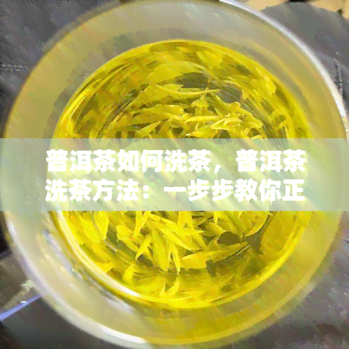 普洱茶如何洗茶，普洱茶洗茶方法：一步步教你正确洗茶的技巧