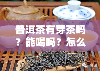 普洱茶有芽茶吗？能喝吗？怎么喝？