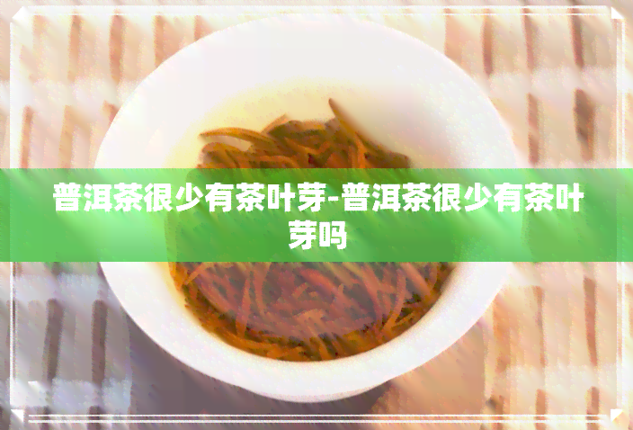 普洱茶很少有茶叶芽-普洱茶很少有茶叶芽吗