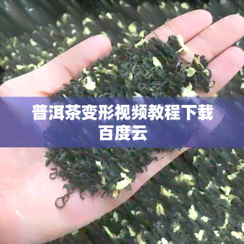 普洱茶变形视频教程下载百度云