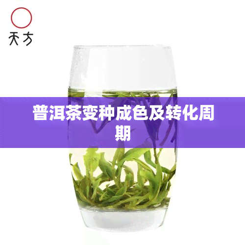 普洱茶变种成色及转化周期