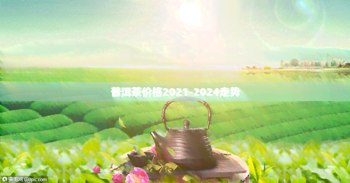 普洱茶价格2021-2024走势