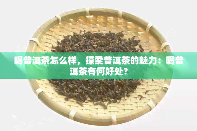 喝普洱茶怎么样，探索普洱茶的魅力：喝普洱茶有何好处？