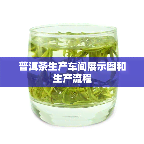 普洱茶生产车间展示图和生产流程