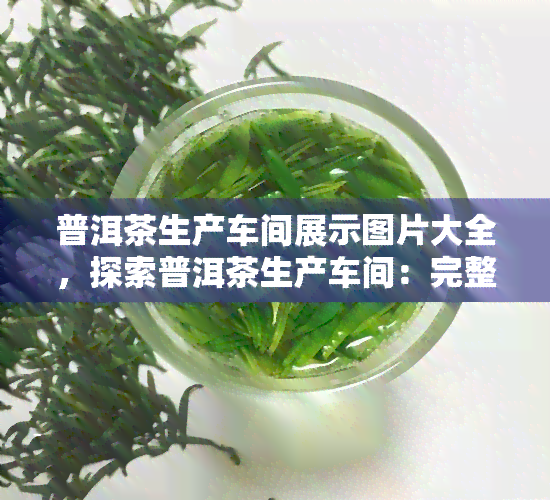 普洱茶生产车间展示图片大全，探索普洱茶生产车间：完整展示图片集锦