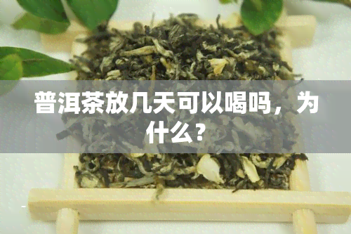 普洱茶放几天可以喝吗，为什么？