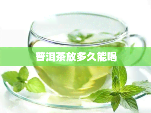 普洱茶放多久能喝