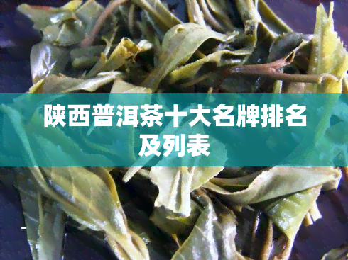 陕西普洱茶十大名牌排名及列表