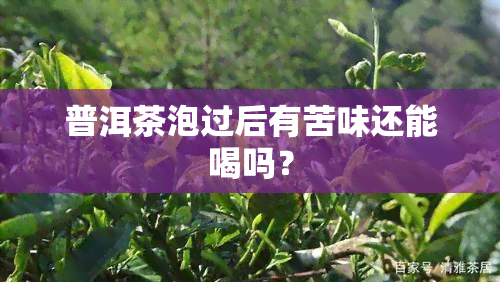 普洱茶泡过后有苦味还能喝吗？