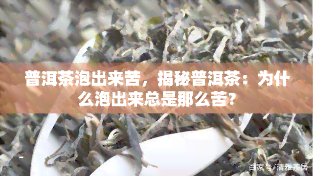 普洱茶泡出来苦，揭秘普洱茶：为什么泡出来总是那么苦？