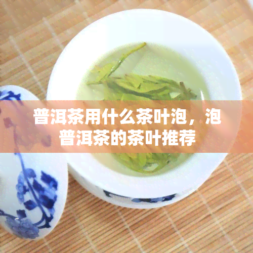 普洱茶用什么茶叶泡，泡普洱茶的茶叶推荐