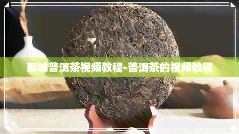 聊城普洱茶视频教程-普洱茶的视频教程