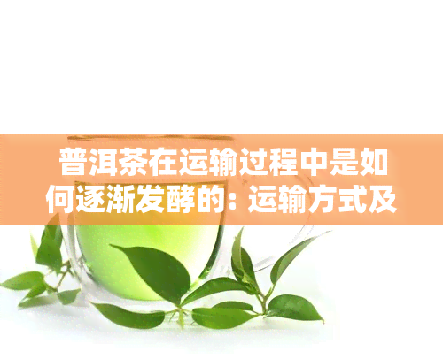 普洱茶在运输过程中是如何逐渐发酵的: 运输方式及注意事项