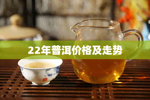 22年普洱价格及走势